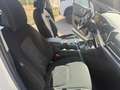 Kia Sportage Todoterreno Automático de 5 Puertas Blanco - thumbnail 17
