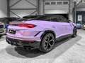 Lamborghini Urus URUS S /1OF1 COLOR UNICO /60 ANNIVERSARIO/ Gris - thumbnail 5