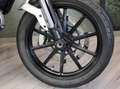 Ducati Scrambler 800 - 2017 - km 10753 Grigio - thumbnail 13