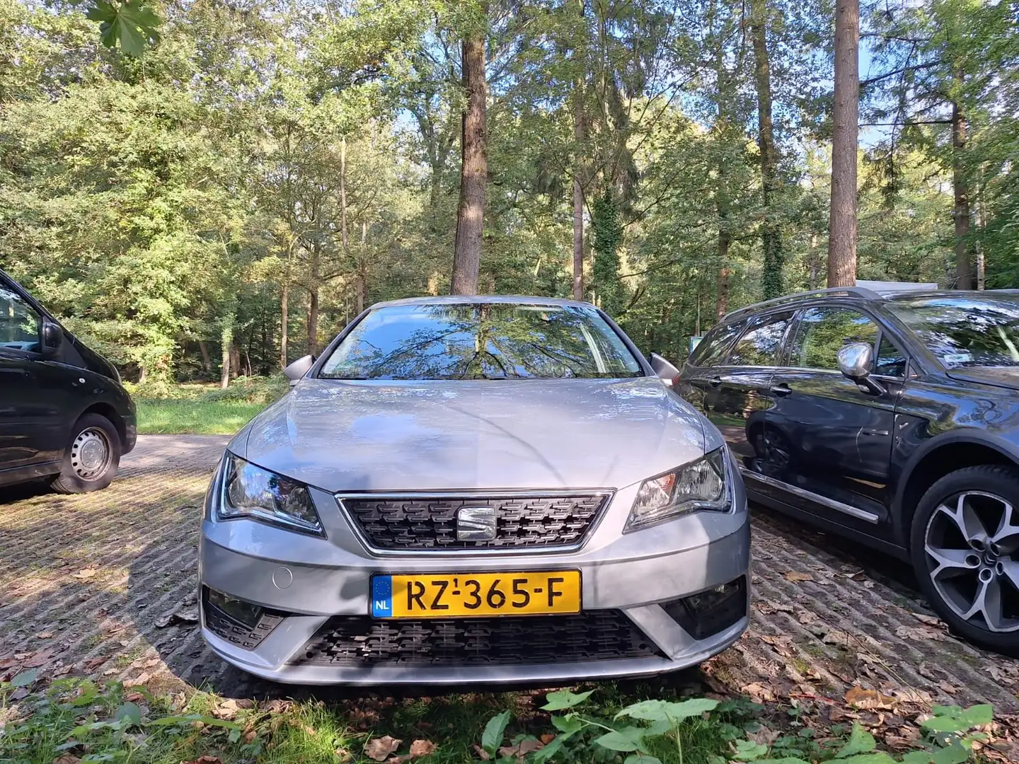 SEAT Leon Leon 1.4 TGI Style Argent - 2