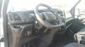 Iveco Daily 35C14 BTor 2.3 HPT PL Cassone con Gru Blanc - thumbnail 11