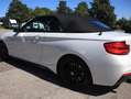 BMW 240 M240i xDrive Cabrio Aut., wenig KM, kein OPF Alb - thumbnail 4