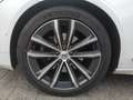 Volvo V90 V90 B4 Inscription SD/Keyless-Start/Autom./Klima Weiß - thumbnail 22