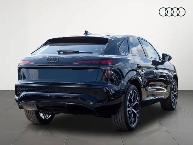 Audi Q3 view 14