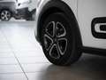 Citroen C3 1.2 PureTech 81 cv Shine 36 mesi di garanzia Blanc - thumbnail 3