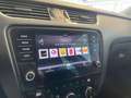 Skoda Octavia Octavia Ambition 1.6 TDI 116 PS Schaltgetriebe Grau - thumbnail 33