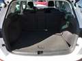 SEAT Ateca Style 1.5 TSI DSG Navi LED BeatsAudio Weiß - thumbnail 15