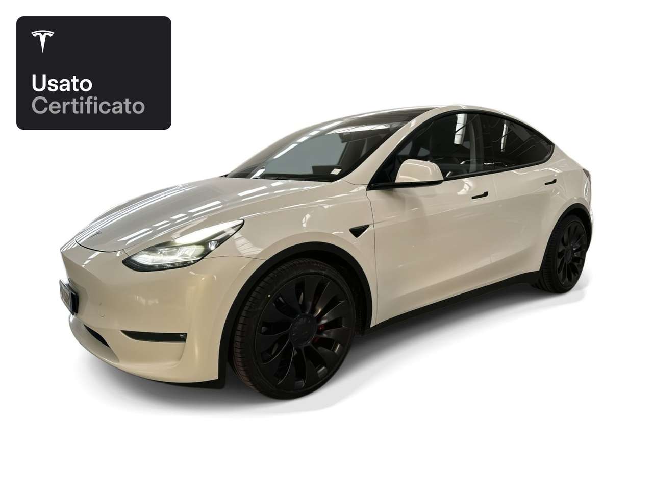 Tesla Model Y Performance