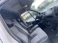 Renault Master Master 2.3 dci 125 Bianco - thumbnail 11