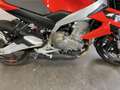 Aprilia Tuono Rouge - thumbnail 5