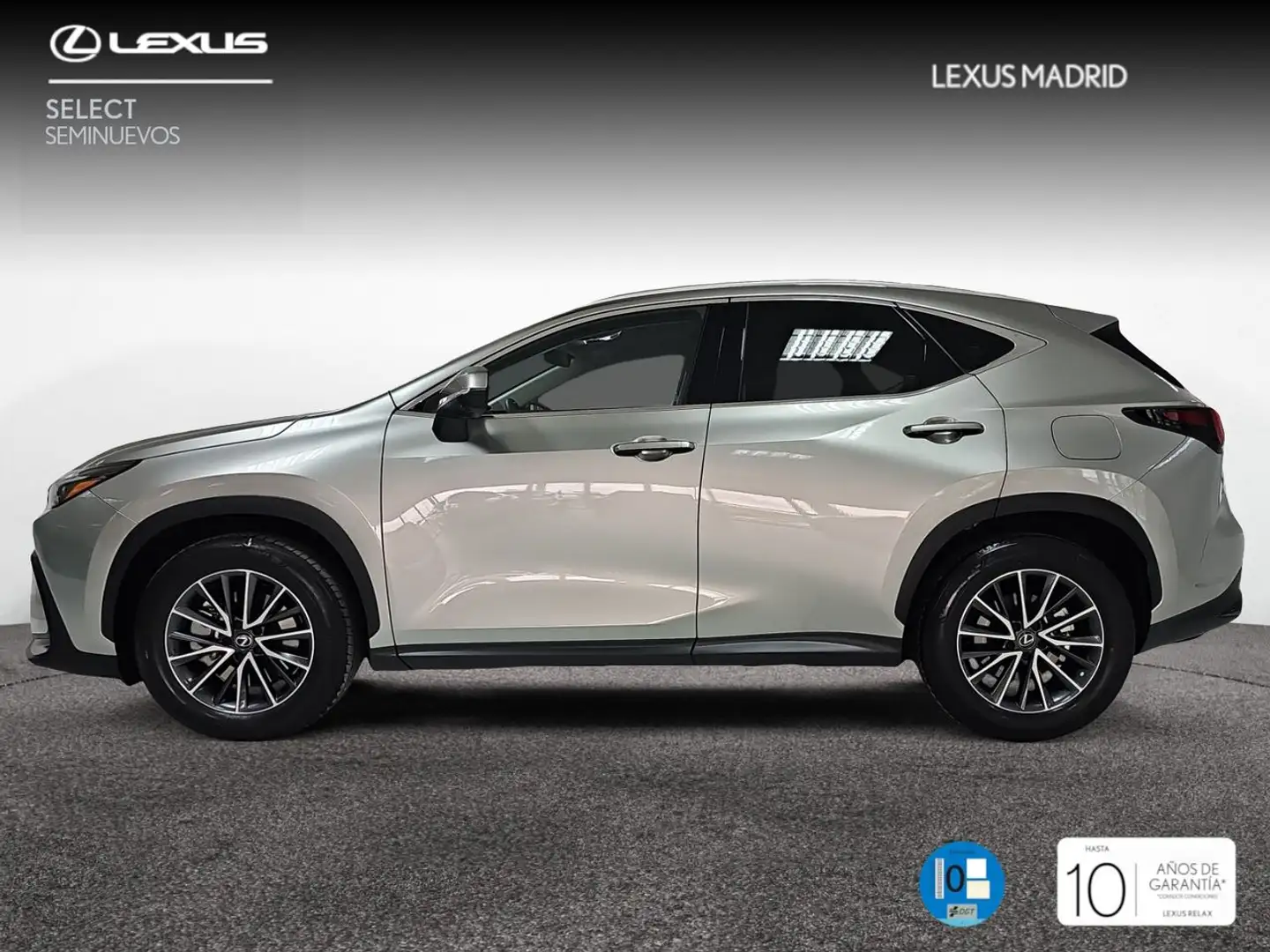 Lexus NX 350h Executive 2WD - 2