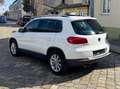 Volkswagen Tiguan Sport Weiß - thumbnail 6