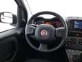 Fiat Panda Hybrid 1.0 Mild Hybrid 70CV Blanc - thumbnail 11