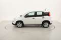Fiat Panda Hybrid 1.0 Mild Hybrid 70CV Blanc - thumbnail 2
