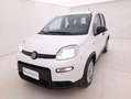 Fiat Panda Hybrid 1.0 Mild Hybrid 70CV Blanc - thumbnail 9