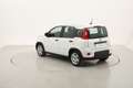 Fiat Panda Hybrid 1.0 Mild Hybrid 70CV Blanc - thumbnail 3