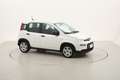 Fiat Panda Hybrid 1.0 Mild Hybrid 70CV Blanc - thumbnail 7