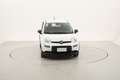 Fiat Panda Hybrid 1.0 Mild Hybrid 70CV Blanc - thumbnail 8