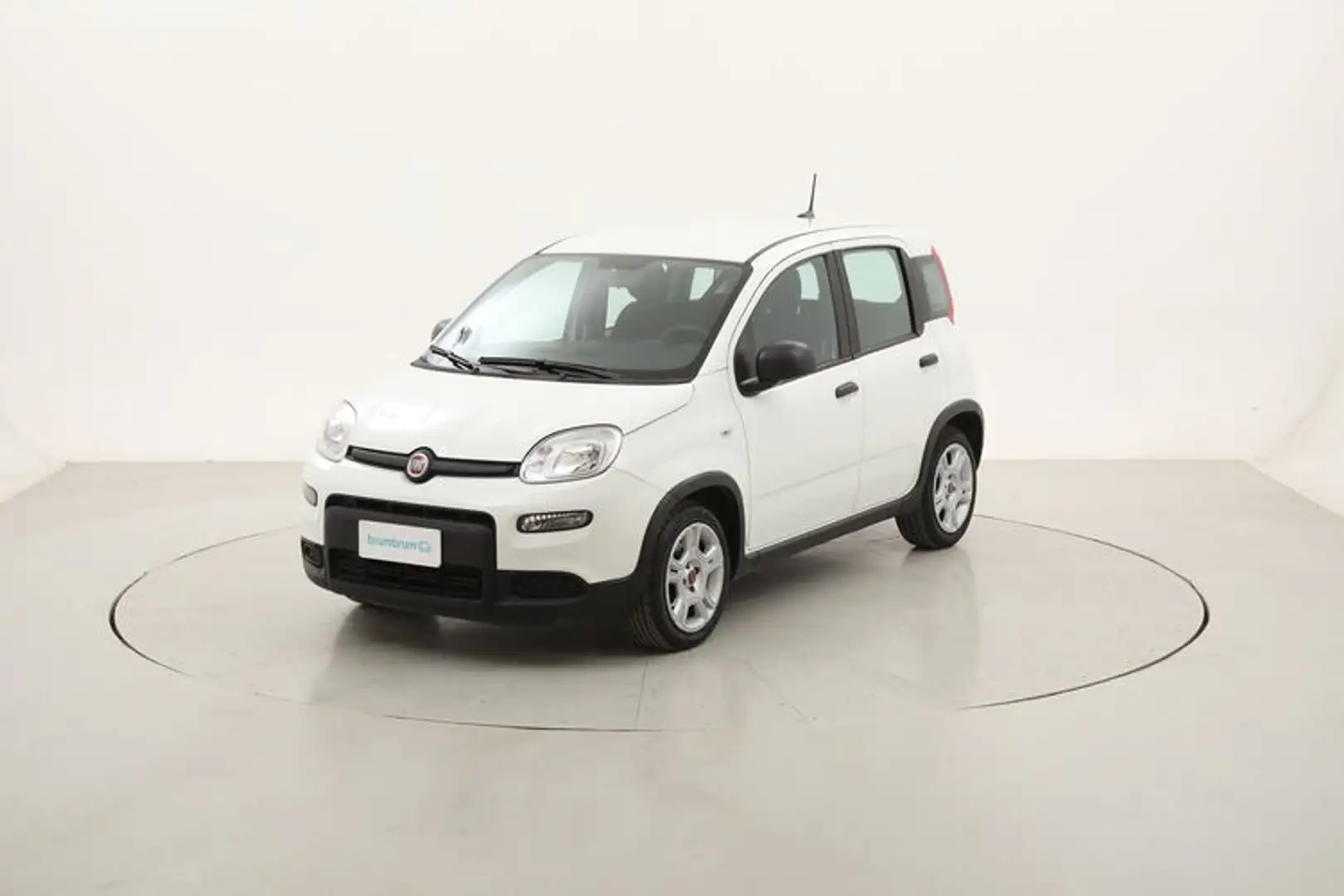 Fiat Panda Hybrid 1.0 Mild Hybrid 70CV Blanc - 1