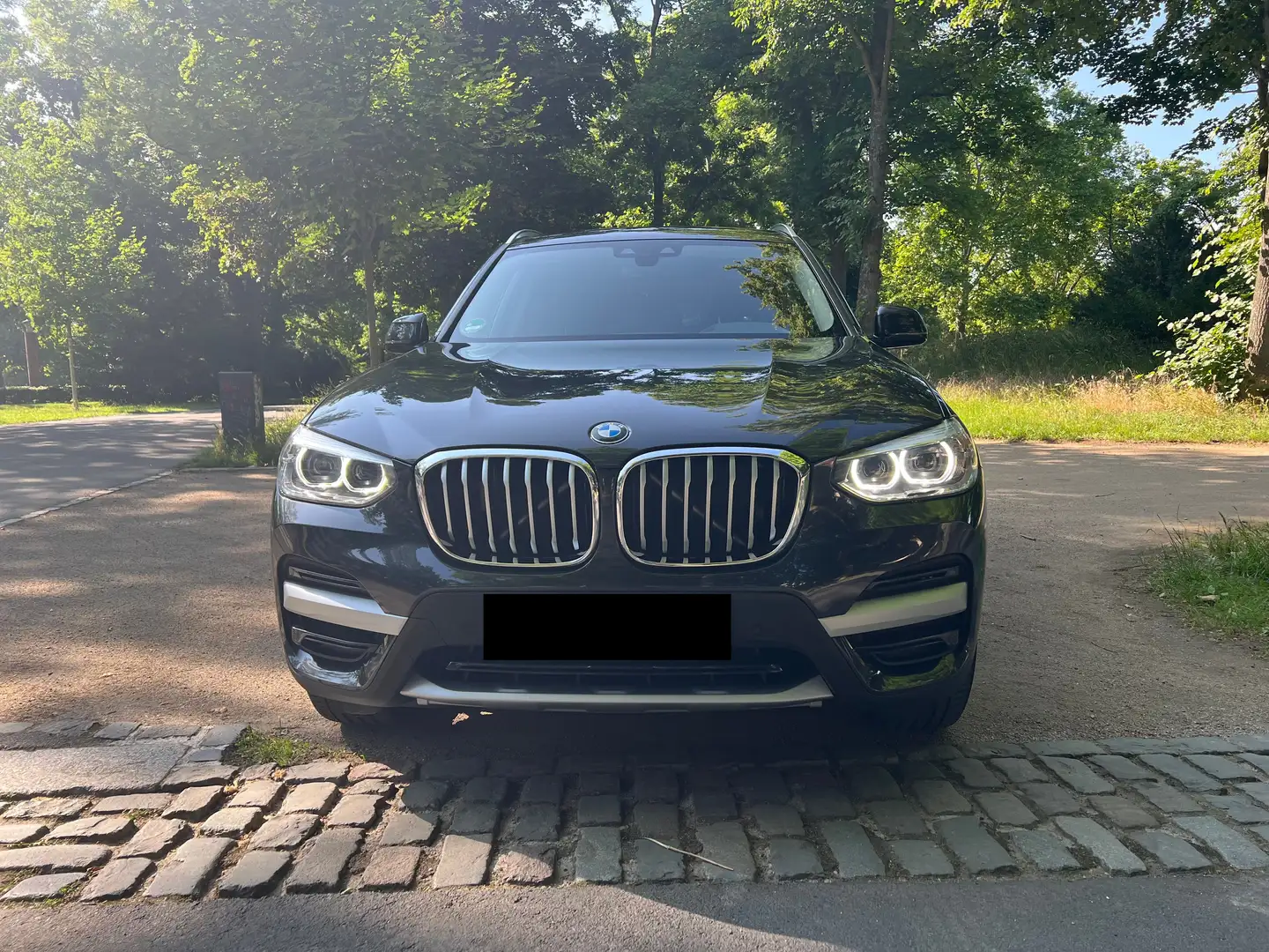 BMW X3 xDrive 20 dA xLine AHK/Navi/LED/2Hand Grau - 2