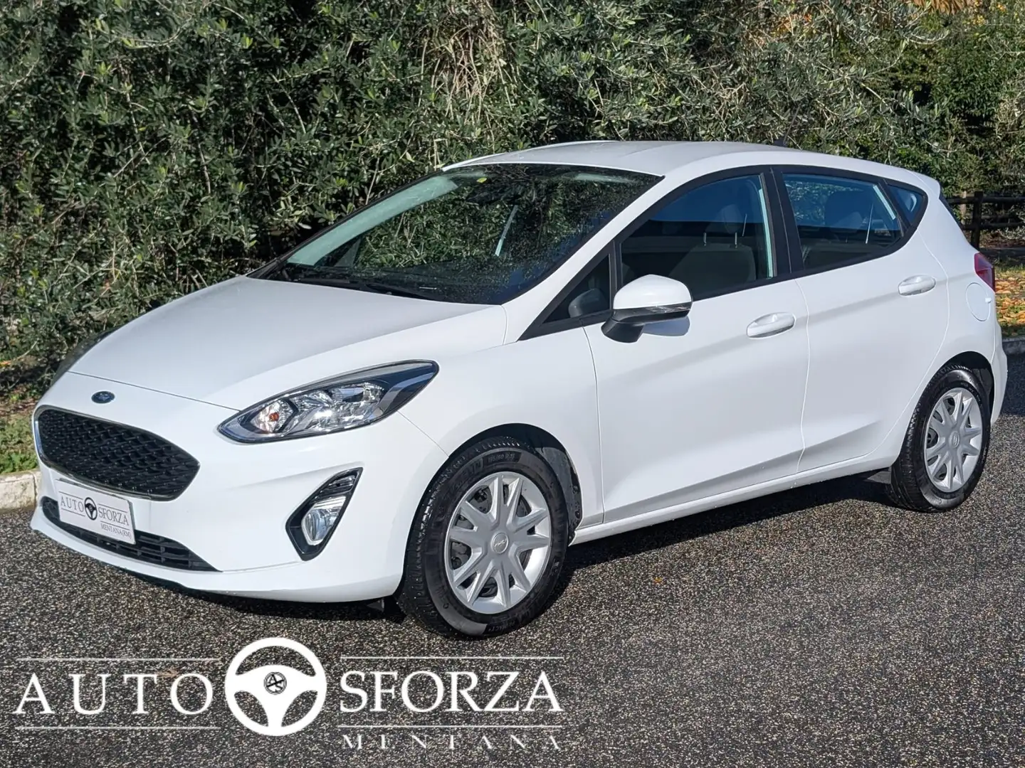 Ford Fiesta 1.5 Ecoblue Business 85cv 5 Porte Tagliandata E6d Bianco - 1