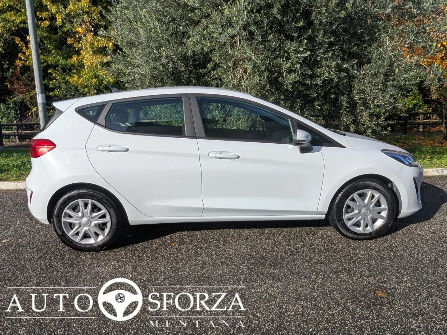 Ford Fiesta 1.5 Ecoblue Business 85cv 5 Porte Tagliandata E6d Bianco - 2