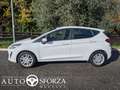 Ford Fiesta 1.5 Ecoblue Business 85cv 5 Porte Tagliandata E6d Bianco - thumbnail 6