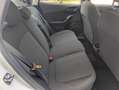 Ford Fiesta 1.5 Ecoblue Business 85cv 5 Porte Tagliandata E6d Bianco - thumbnail 14