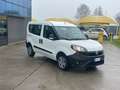 Fiat Doblo CARGO CH1 1.3 Mjet 95cv E6D N1 AUTOCARRO 5 POSTI Blanc - thumbnail 3