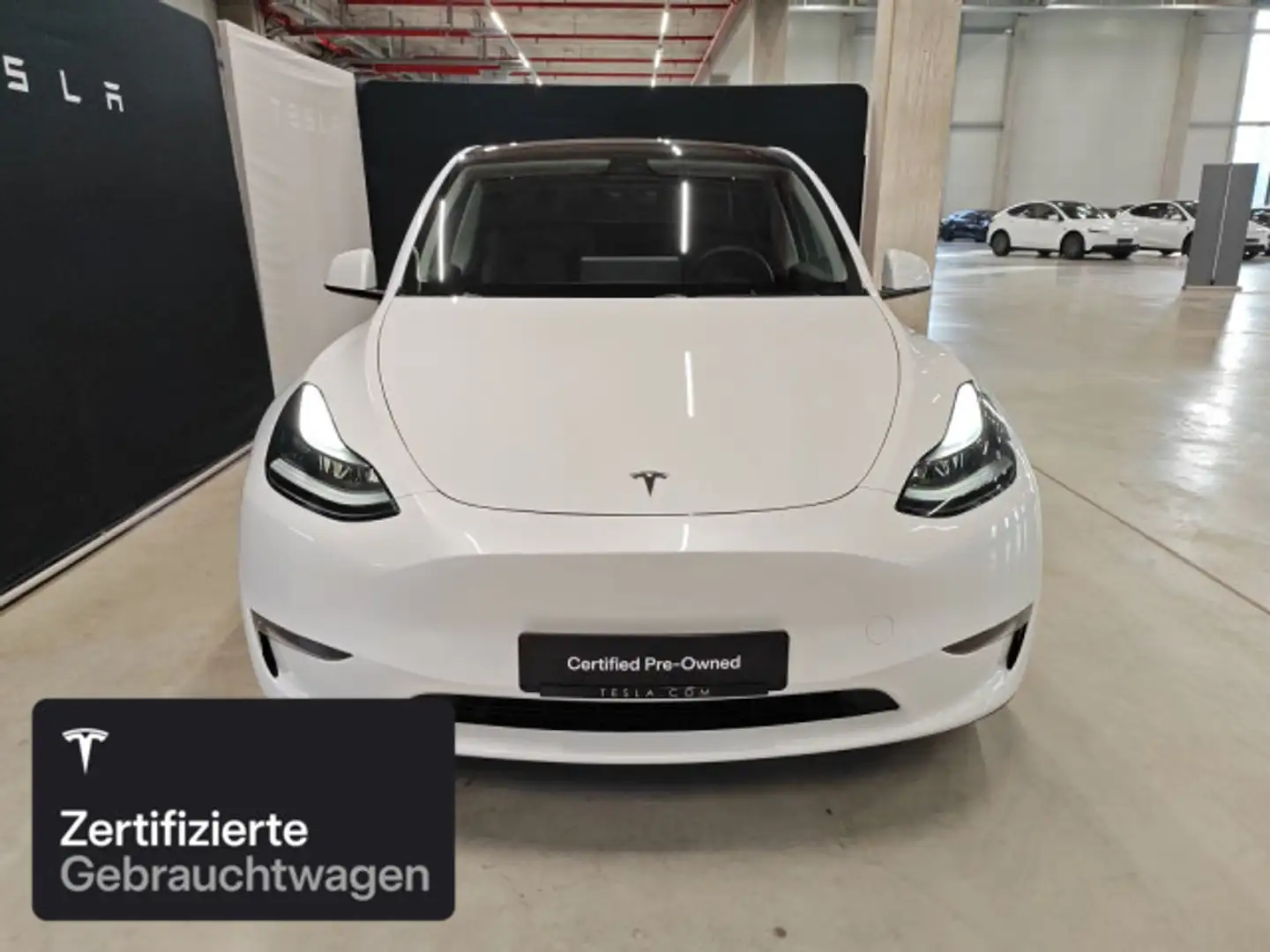 Tesla Model Y Long Range AWD Weiß - 2