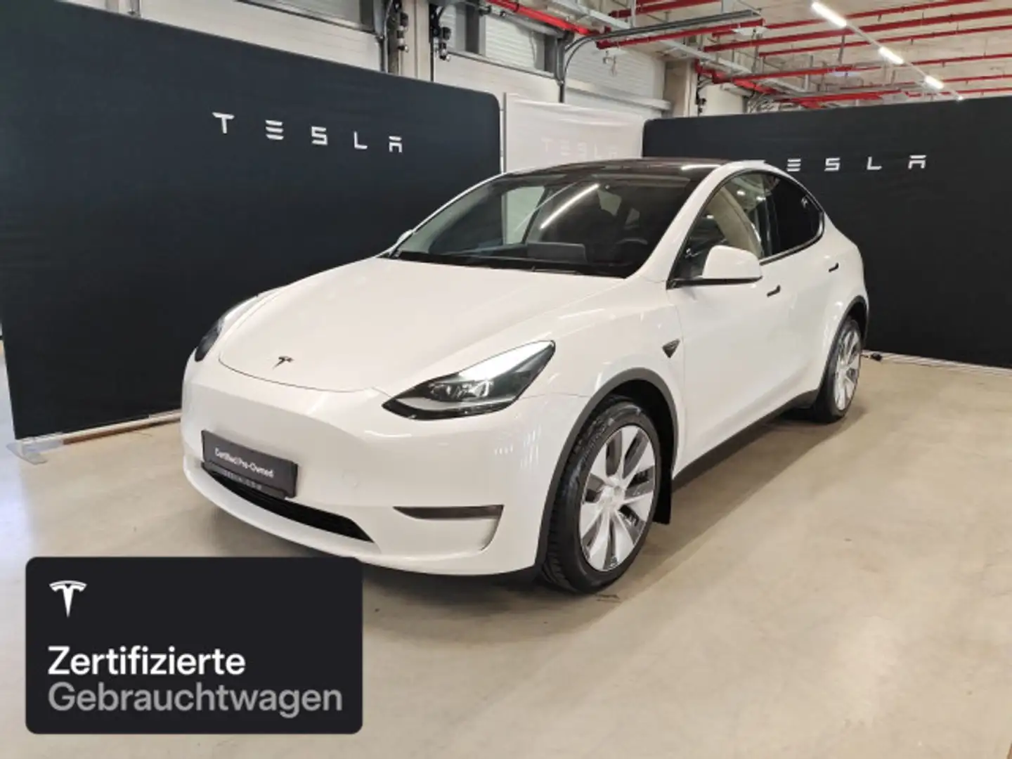 Tesla Model Y Long Range AWD Weiß - 1