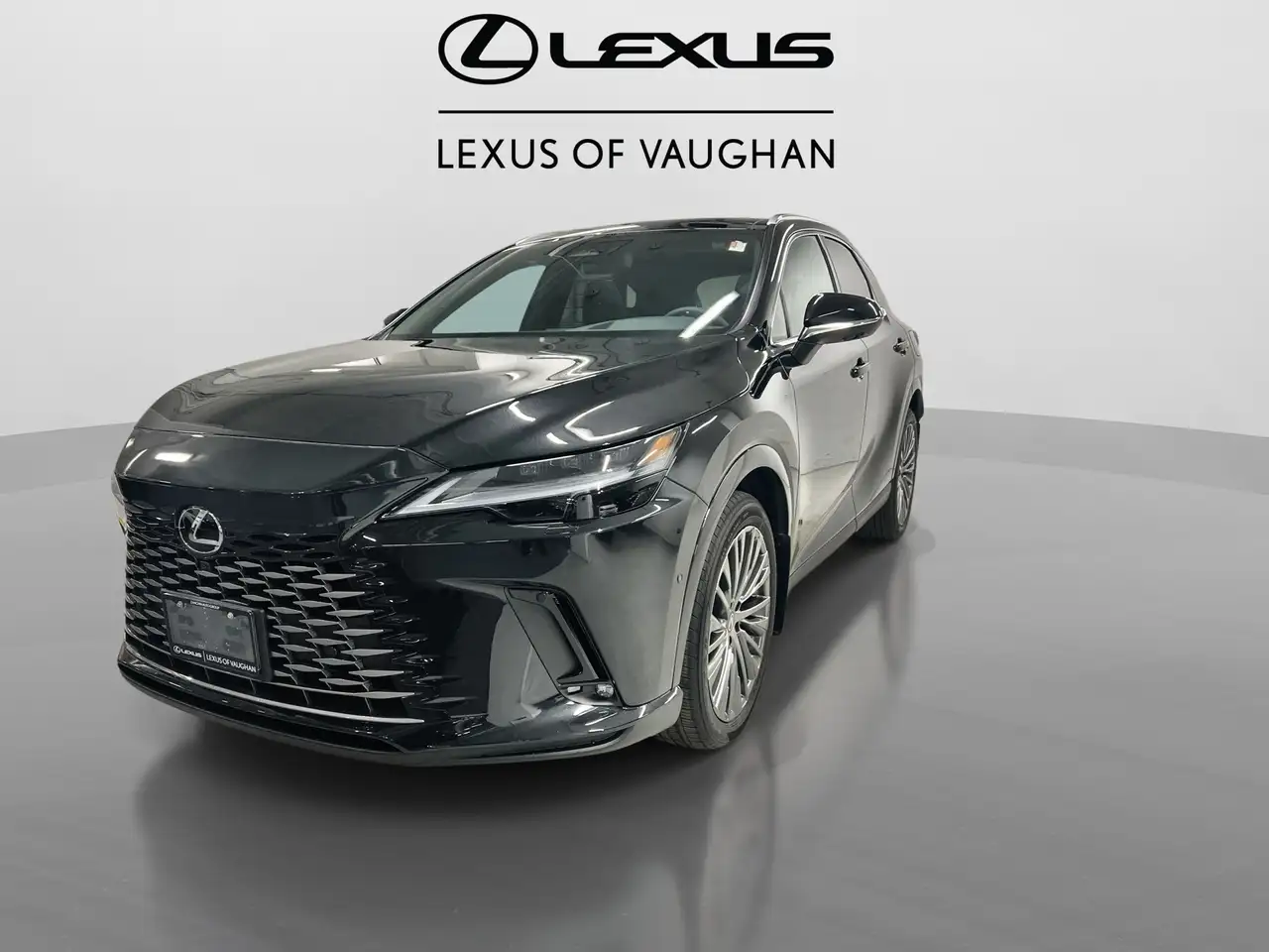 Lexus RX 350h снимка Lexus RX 350h