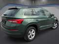Skoda Kodiaq 2,0 TDI DSG *Panorama*Kamera*ACC*Keyless* Grün - thumbnail 8