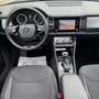 Skoda Kodiaq 2,0 TDI DSG *Panorama*Kamera*ACC*Keyless* Grün - thumbnail 16