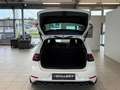 Volkswagen Golf R 4Motion 2,0 TSI DSG*Panorama*Vollleder*Virtual*LED Biały - thumbnail 7