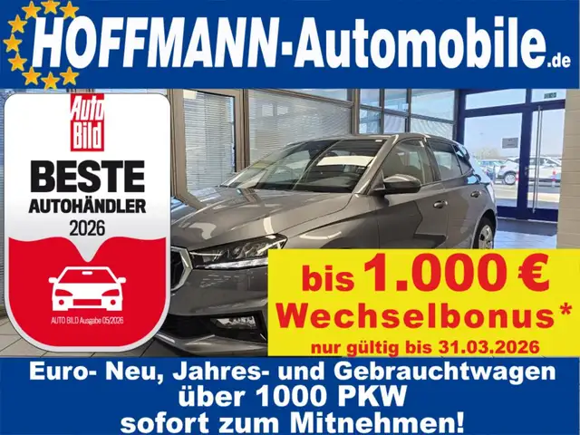 Skoda Fabia Active Smart Link,LED,PDC,Klimaanlage