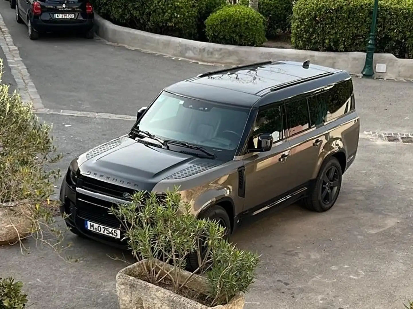 Land Rover Defender Defender 110 D300 X Braun - 2