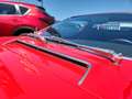 Maserati Merak 3.0 V6 bekannt aus Zeitung Motor Klassik! Červená - thumbnail 26