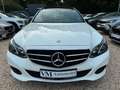Mercedes-Benz E 220 BlueTEC 4MATIC Pano*360Kam*Tempo*Navi Blanc - thumbnail 2