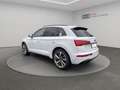 Audi Q5 40 TDI quattro S line Matrix Pano Kamera PDC+ Weiß - thumbnail 6