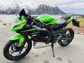 Kawasaki Ninja 125 Yeşil - thumbnail 2