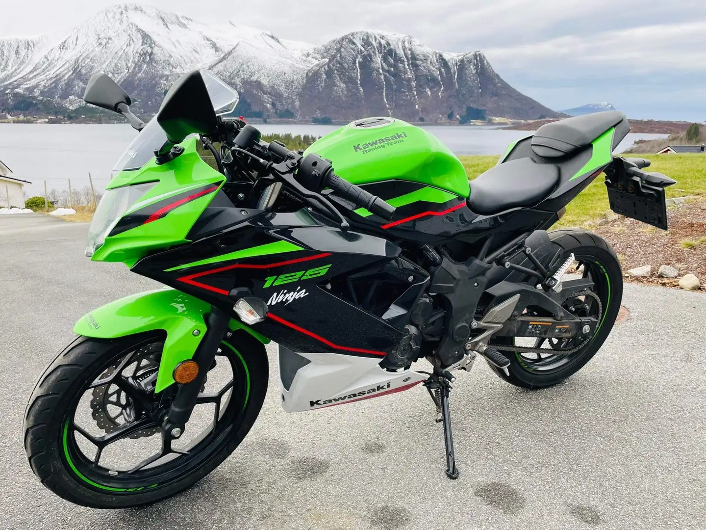 Kawasaki Ninja 125 Groen - 2