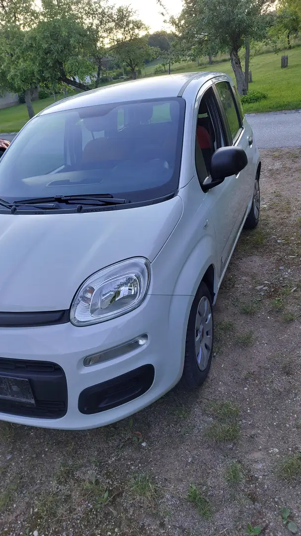Fiat Panda 1,2 69 Easy Weiß - 2