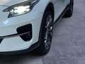 Kia XCeed *Platinum Edition*Panoramadach*CarPlay*RFK*PDC v+h Bianco - thumbnail 6