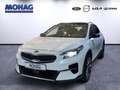 Kia XCeed *Platinum Edition*Panoramadach*CarPlay*RFK*PDC v+h Bianco - thumbnail 1