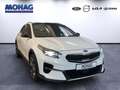 Kia XCeed *Platinum Edition*Panoramadach*CarPlay*RFK*PDC v+h Blanco - thumbnail 2