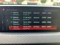 BMW X2 sDrive20i Edition M Mesh Navi HiFi Leder  19" Weiß - thumbnail 8