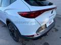 CUPRA Formentor 2020 2.0 tdi 4drive dsg Bianco - thumbnail 9