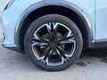 CUPRA Formentor 2020 2.0 tdi 4drive dsg Bianco - thumbnail 8