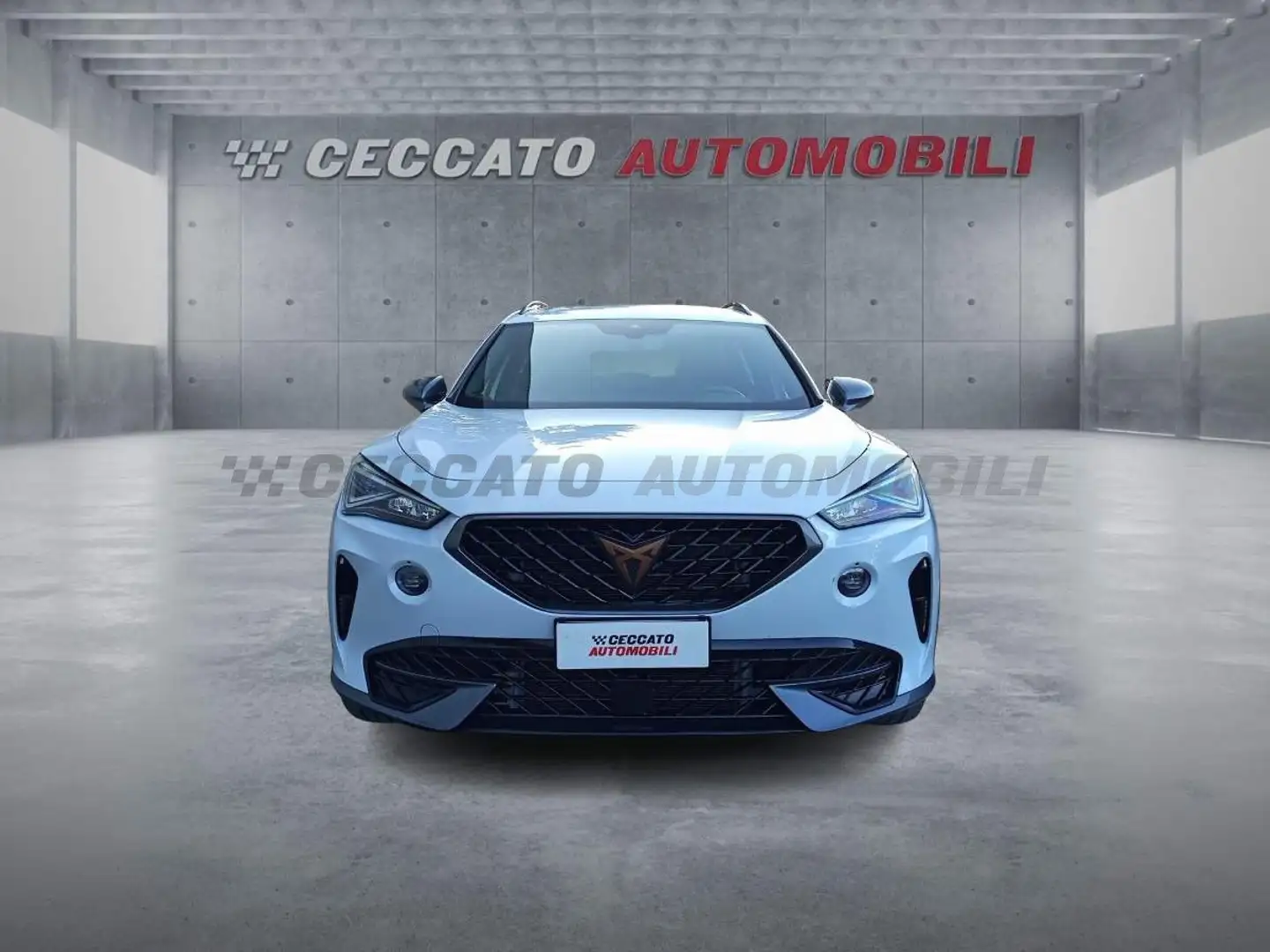 CUPRA Formentor 2020 2.0 tdi 4drive dsg Bianco - 2
